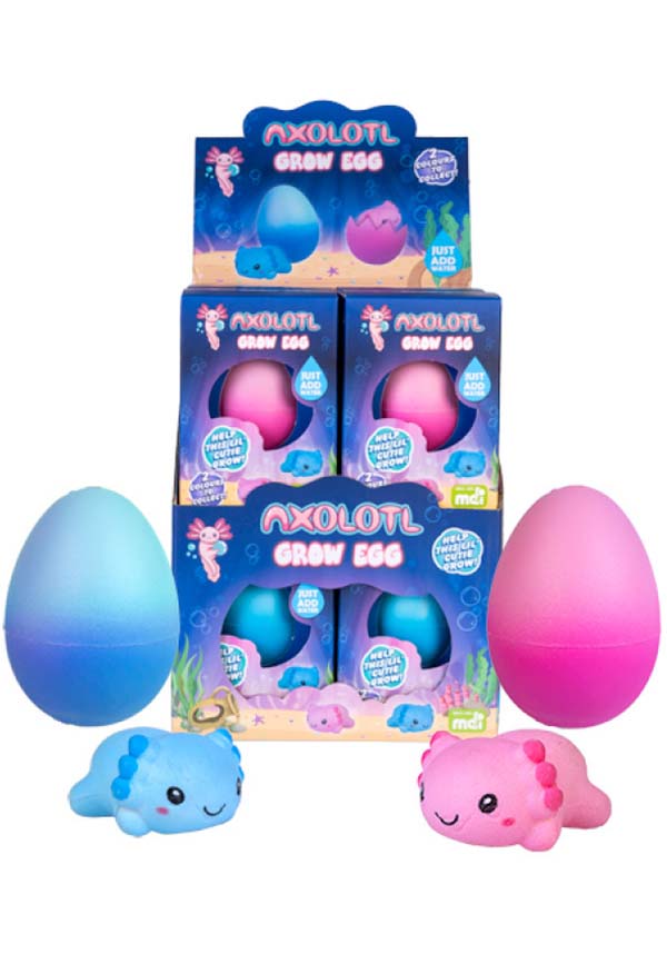 Homewares Growing Axolotl Egg Blind Pick Buy Online Australia