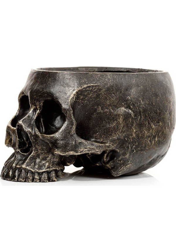 Skull | GARDEN PLANTER