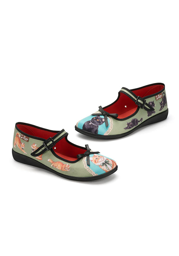 Regal Whiskers | FLATS