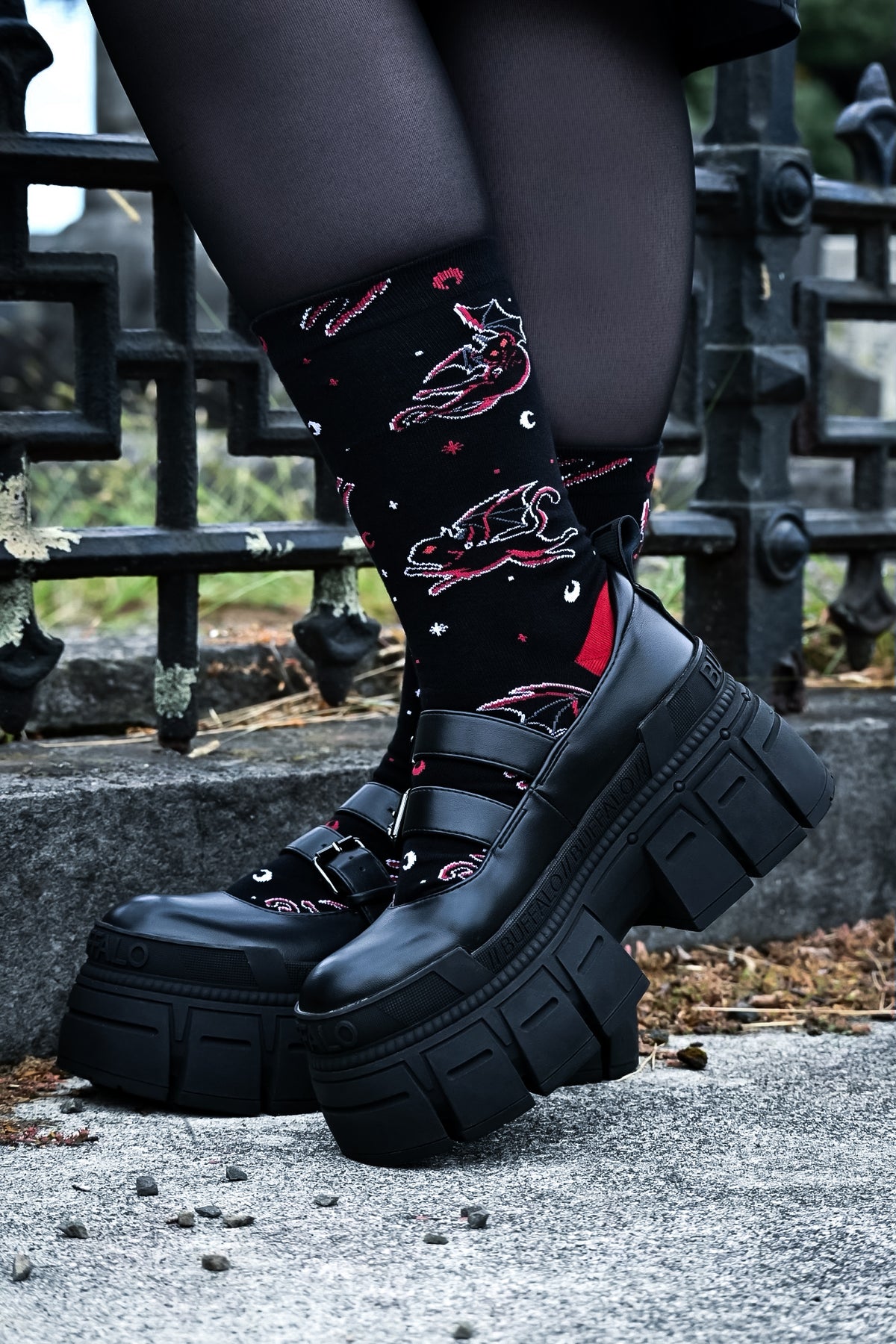 Batty Cats | CREW SOCKS