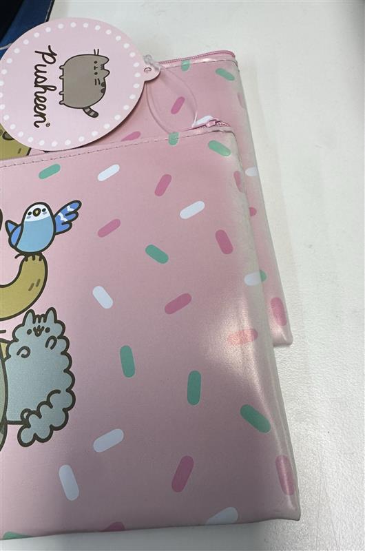 Pusheen And Friends | FLAT PENCIL CASE (DAMAGED)**