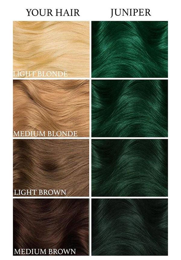 Juniper Green | HAIR DYE - Beserk - all, clickfrenzy15-2023, cosmetics, dark green, discountapp, dye, fp, goth, green, hair, hair colour, hair dye, hair dyes, hair green, labelvegan, LT3083, luna tides, lunar tides, mermaid, vegan