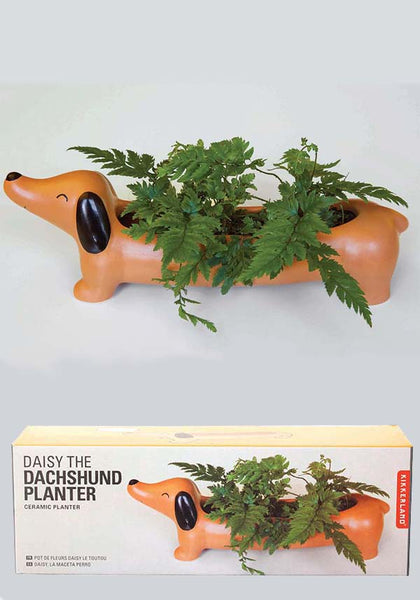 daisy the dachshund planter Daisy The Dachshund