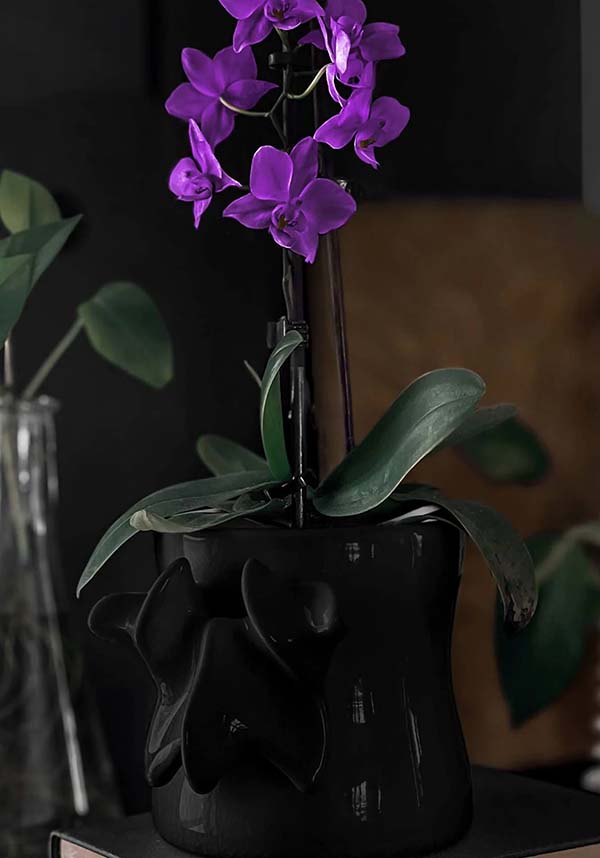 Ossuary [Black] | PLANTER
