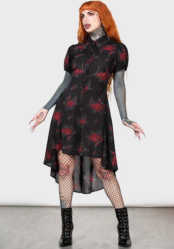 Pandora's Revenge | DRESS