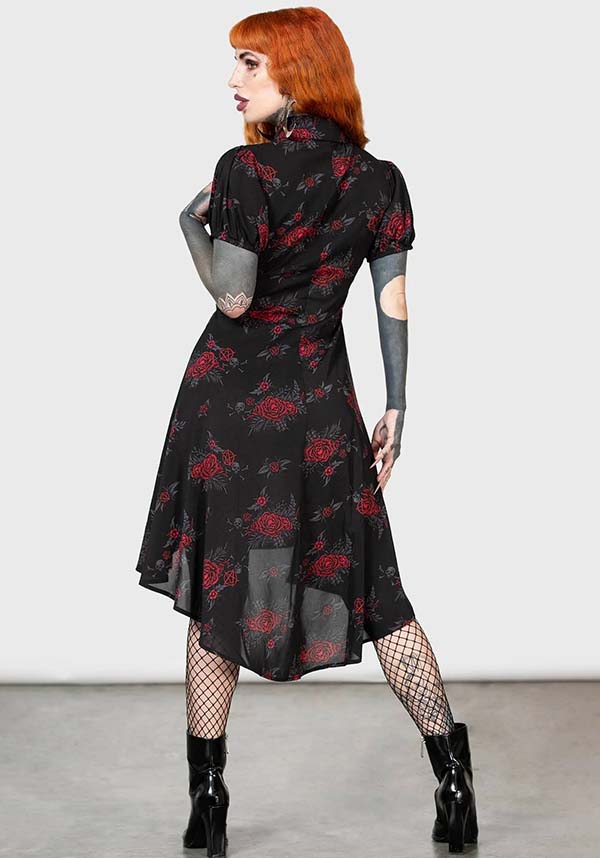 Pandora&#39;s Revenge | DRESS