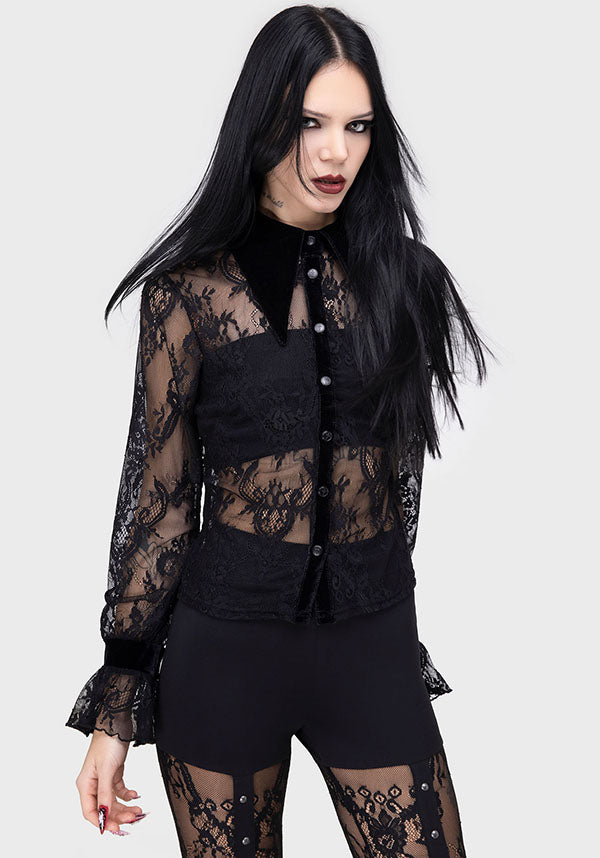 Zephiris | TOP