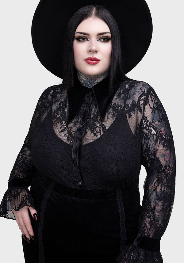 Zephiris | TOP