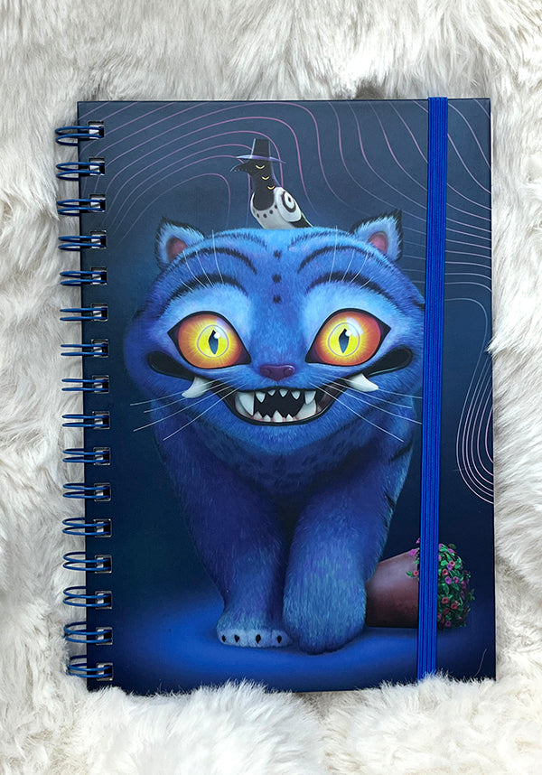 Collectables KPDH: Derpy & Sussie - Front View