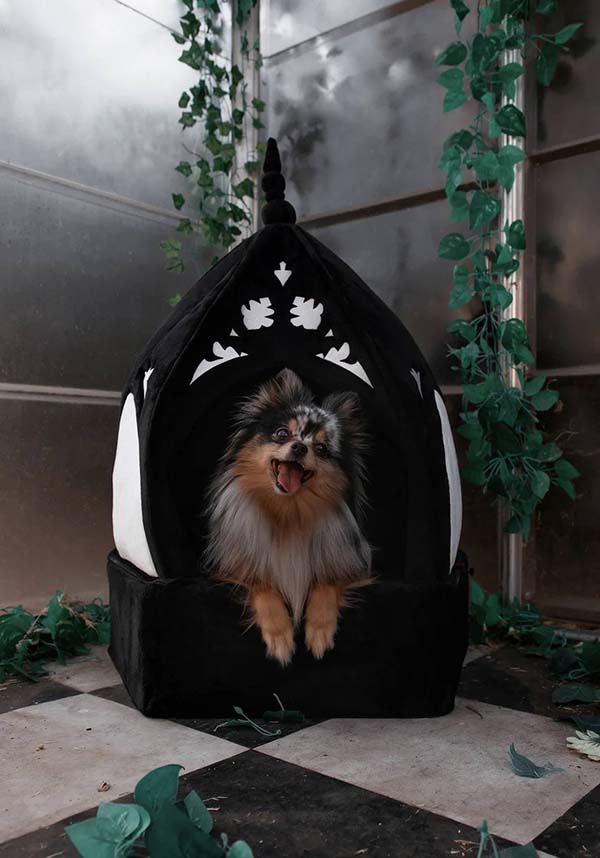 Cathedral | PET BED*