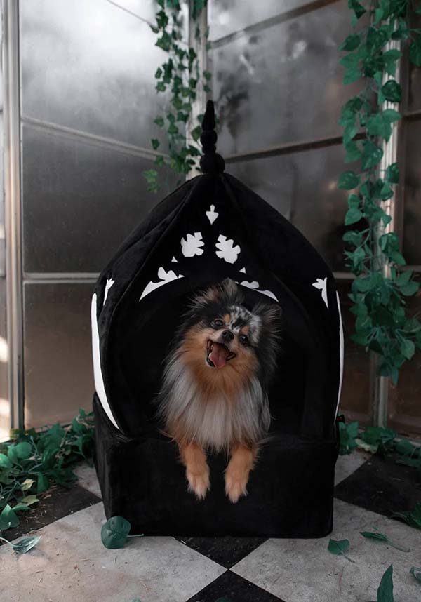 Cathedral | PET BED