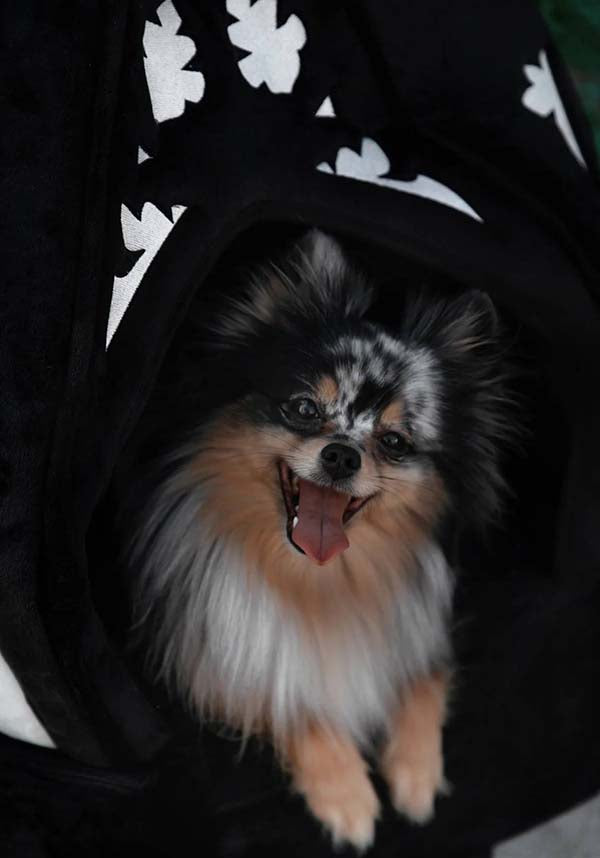 Cathedral | PET BED