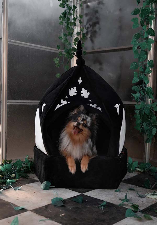 Cathedral | PET BED