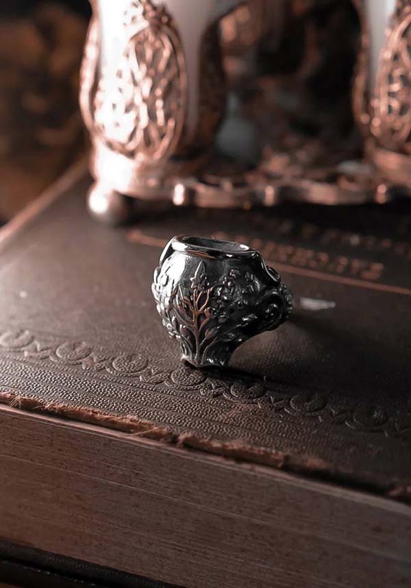 Cauldron Spell | RING