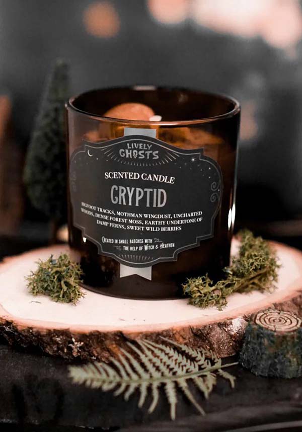 Cryptid | CANDLE
