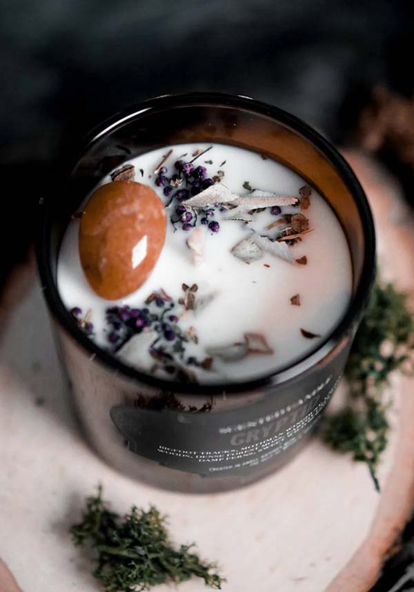 Cryptid | CANDLE