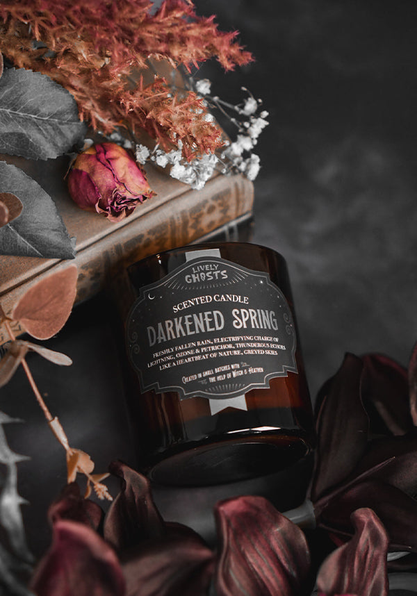 Darkened Spring | CANDLE