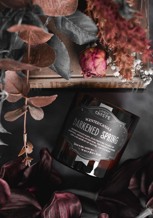 Darkened Spring | CANDLE