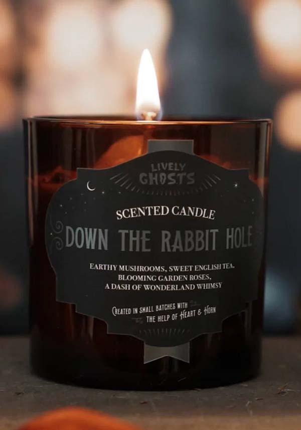 Down the Rabbit Hole | CANDLE