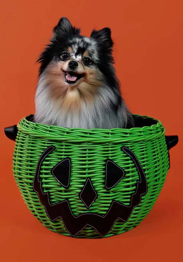 Haunted Hallows [Green] | PICNIC BASKET