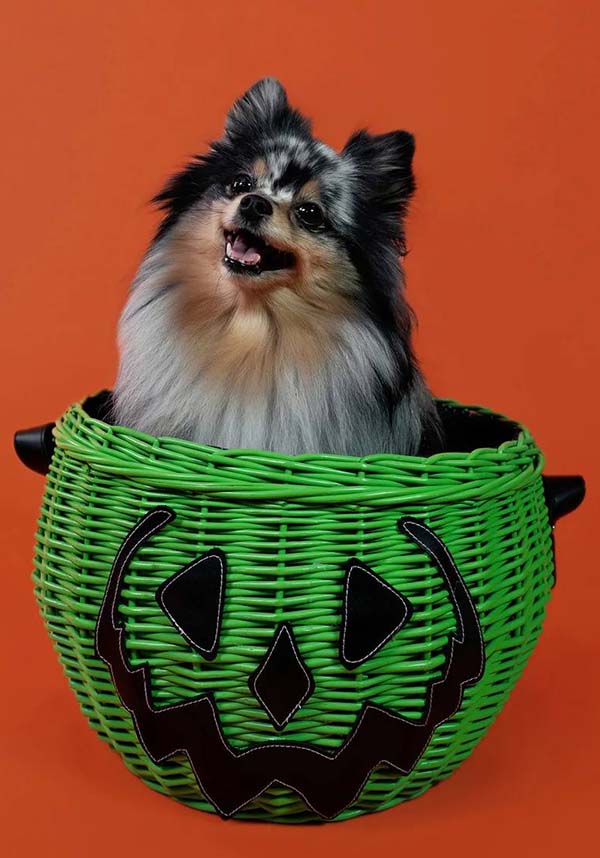 Haunted Hallows [Green] | PICNIC BASKET