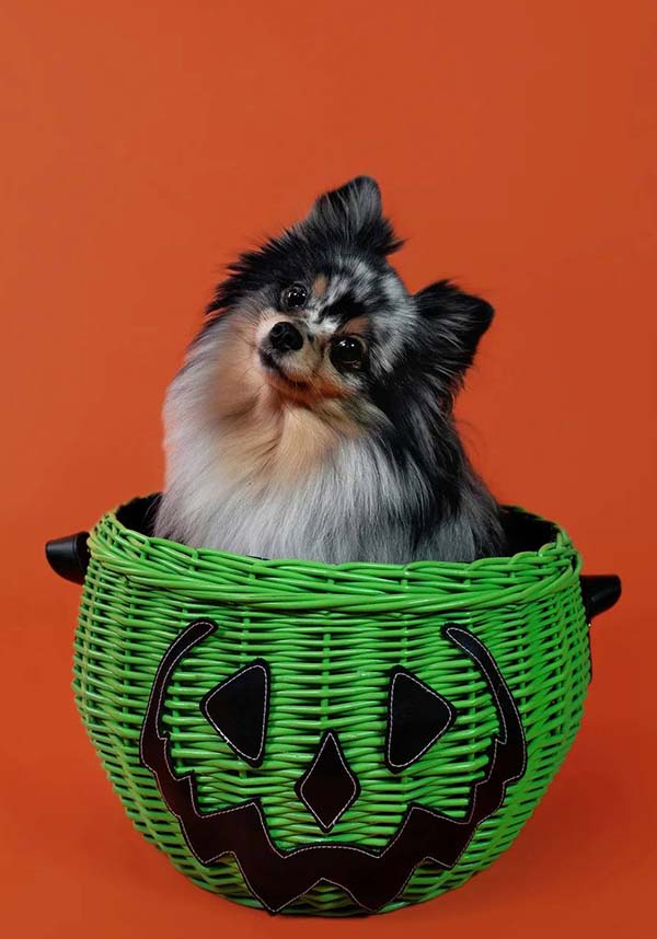 Haunted Hallows [Green] | PICNIC BASKET