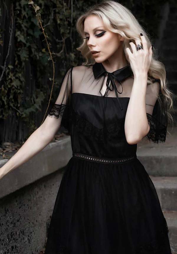 Midnight Masquerade | DRESS