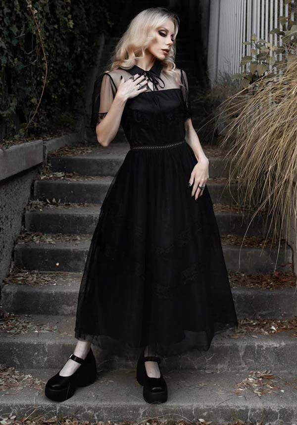 Midnight Masquerade | DRESS