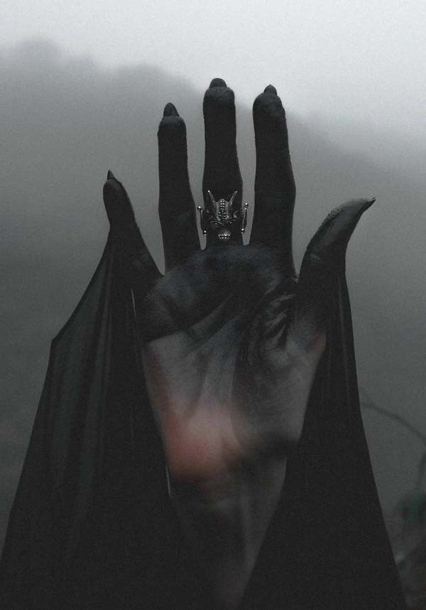 Nightflyer | RING*