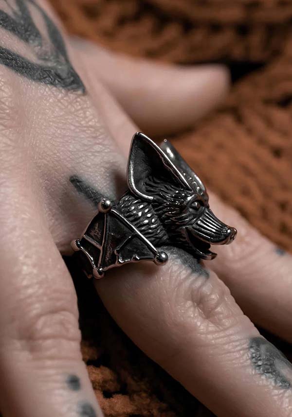 Nightflyer | RING*
