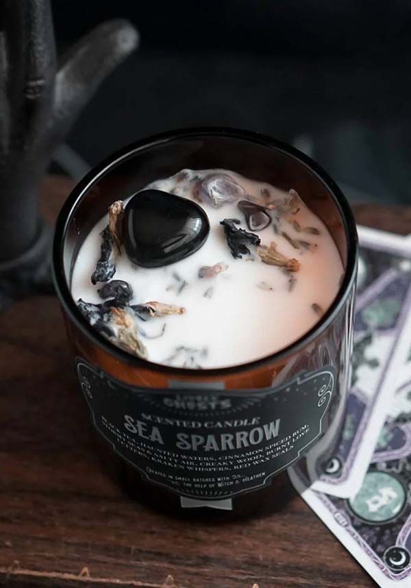 Sea Sparrow | CANDLE