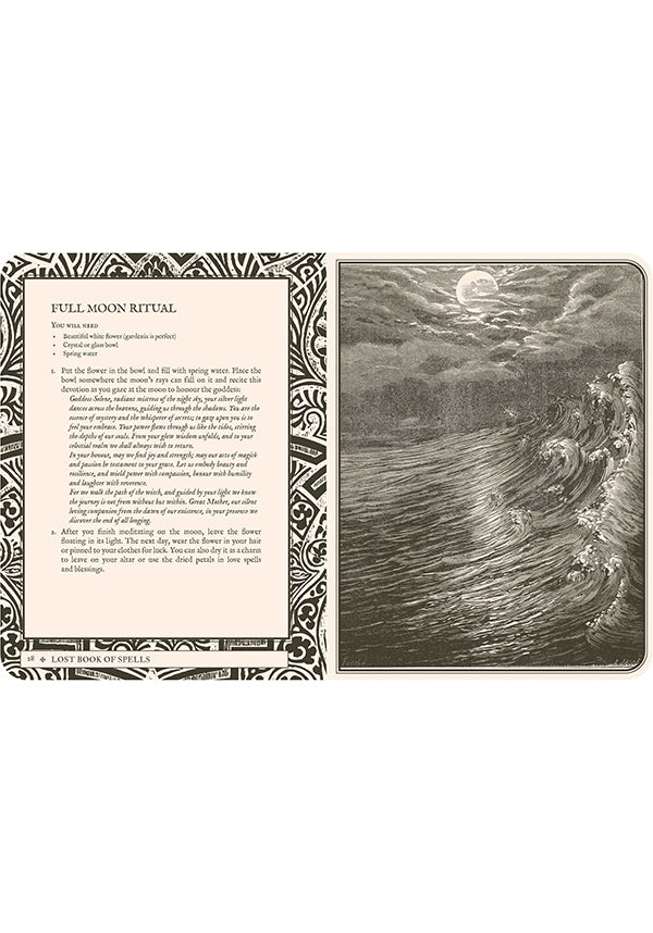 Collectables Lost Book of Spells - Image 13