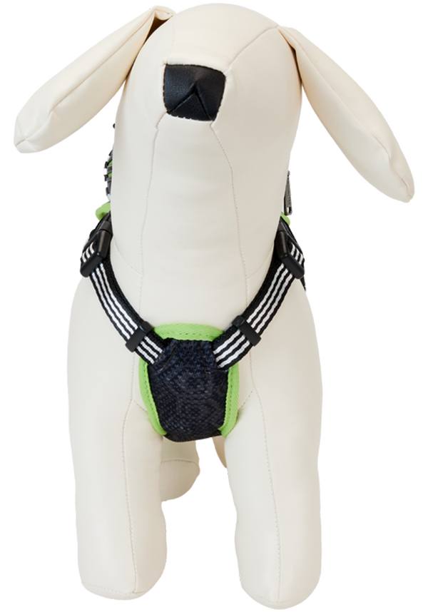 Beetlejuice: Mini Backpack | DOG HARNESS [LARGE]**