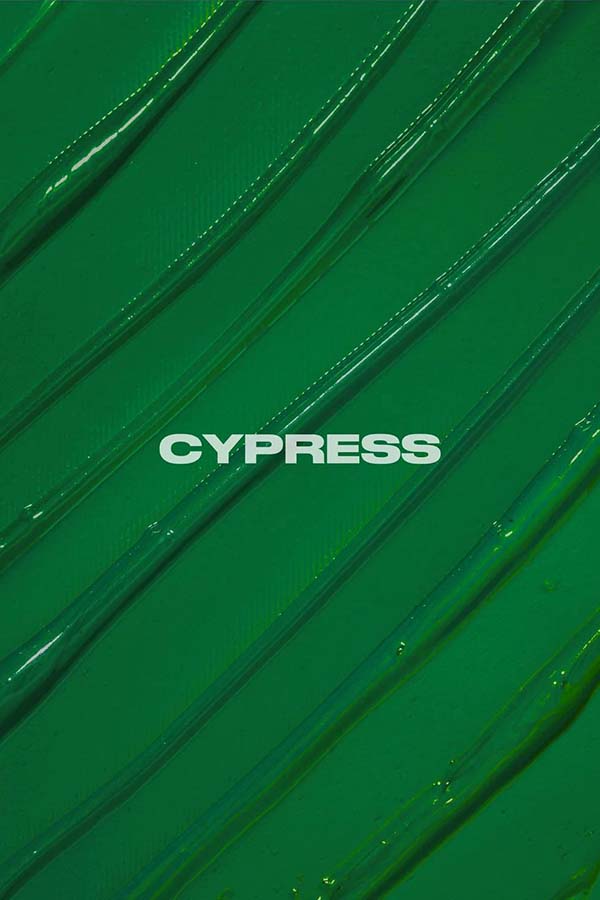 Cypress | HAIR DYE [236ml]