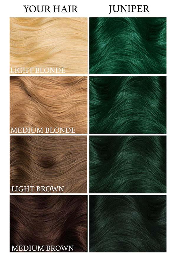 Juniper Green | HAIR DYE [236ML] - Beserk - all, clickfrenzy15-2023, colour:green, colours, cosmetics, dark green, discountapp, dye, dyes, fp, green, hair, hair color, hair colour, hair colours, hair dye, hair dyes, hair green, hair products, labelvegan, LT3376, luna tides, lunar tides, may22, R240522, vegan