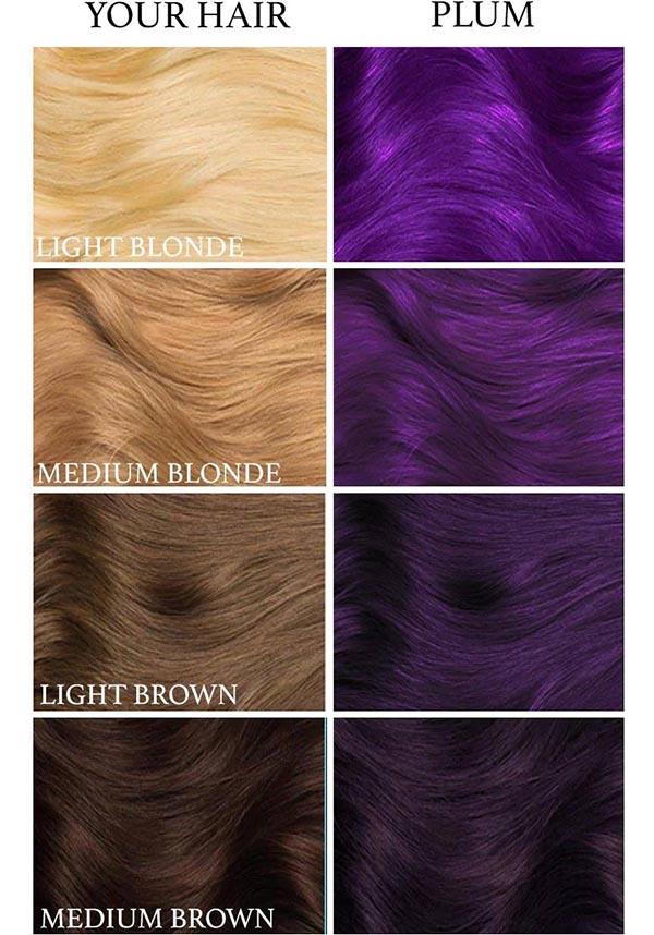 Plum Purple | HAIR DYE [236ML] - Beserk - all, aug22, clickfrenzy15-2023, colour:purple, cosmetics, cruelty free, cruetly free, dark purple, discountapp, dye, dyes, fp, googleshopping, hair, hair colour, hair colours, hair dye, hair dyes, hair products, hair purple, labelvegan, LTSO-00000551, luna tides, purple, R250822, vegan