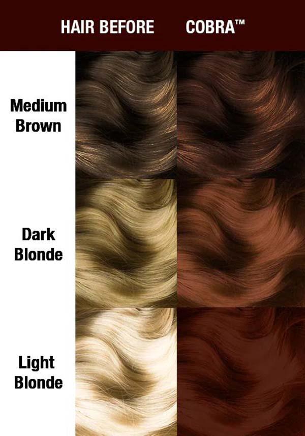 Cobra | CLASSIC COLOUR - Beserk - all, brown, clickfrenzy15-2023, cosmetics, discountapp, dye, dyes, fp, goth, hair, hair brown, hair color, hair colour, hair colours, hair dye, hair dyes, labelvegan, manic panic, manic panic hair, MP3294, nov21, R171121, steampunk, vegan