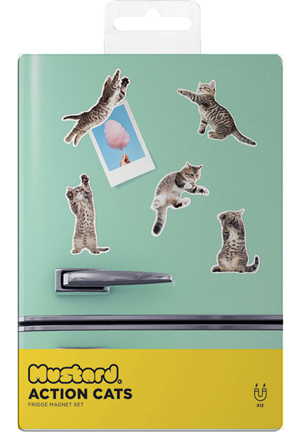 Action Cat | MAGNETS [Set of 12]