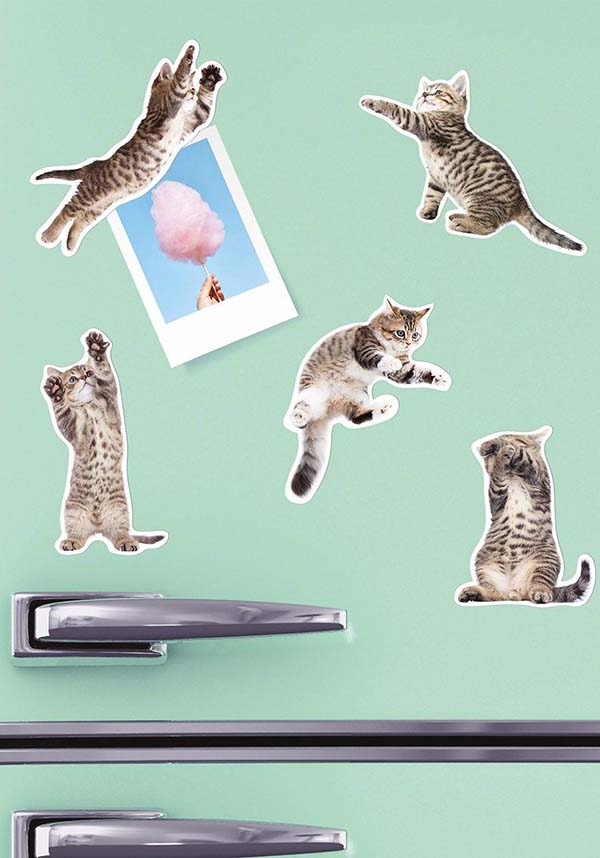 Action Cat | MAGNETS [Set of 12]