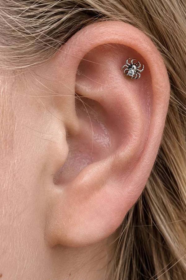 Spider Bat Moth Cartilage | STUD SET