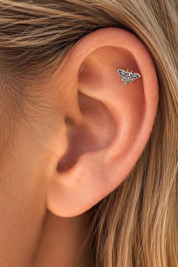 Spider Bat Moth Cartilage | STUD SET