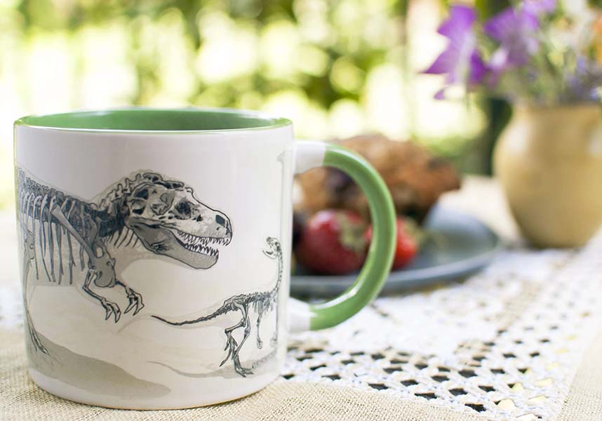 Disappearing Dinosaurs | MUG