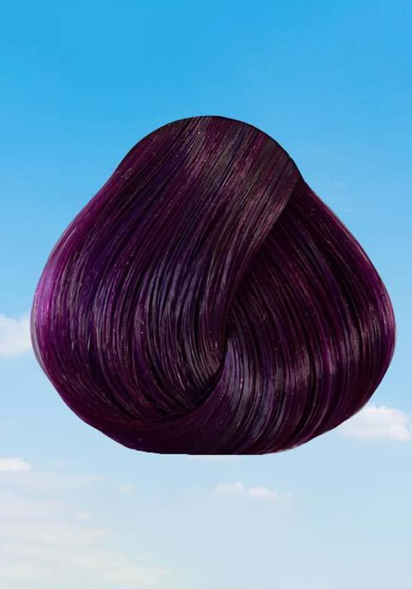Directions | Plum Hair Colour | BESERK Australia
