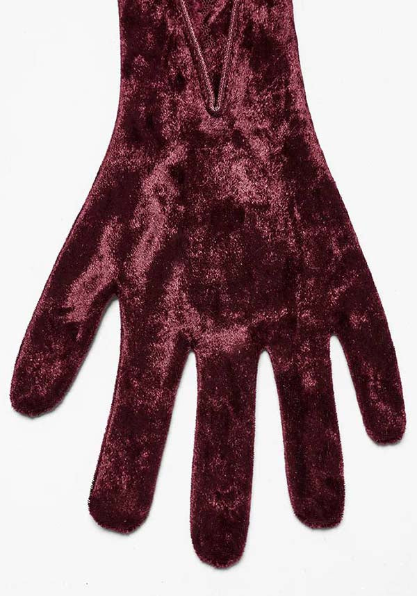 Crimson Countess [Red] | GLOVES