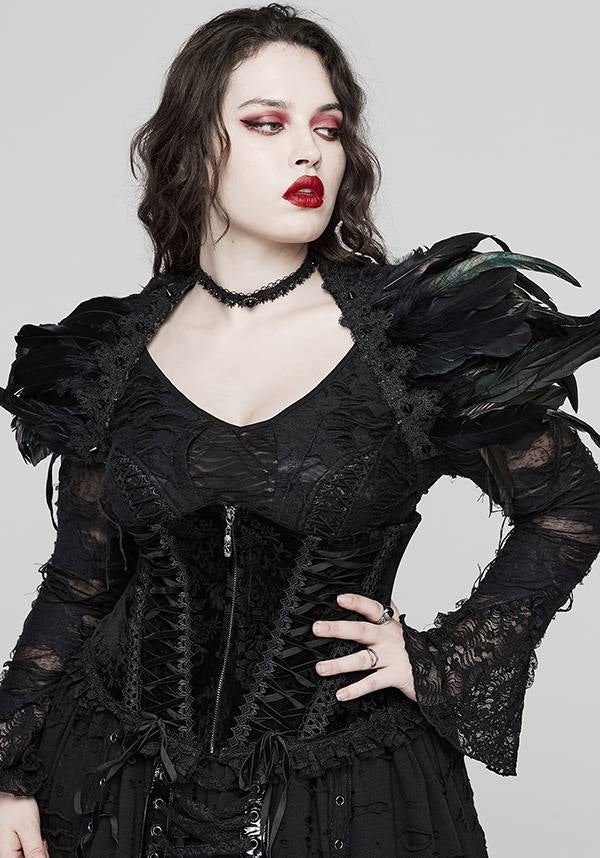 Punk Rave - Gorgeous Goth Velvet Corset Plus Size - Buy Online Australia