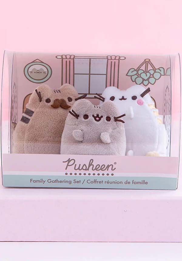 Pusheen Family Gathering | COLLECTOR SET