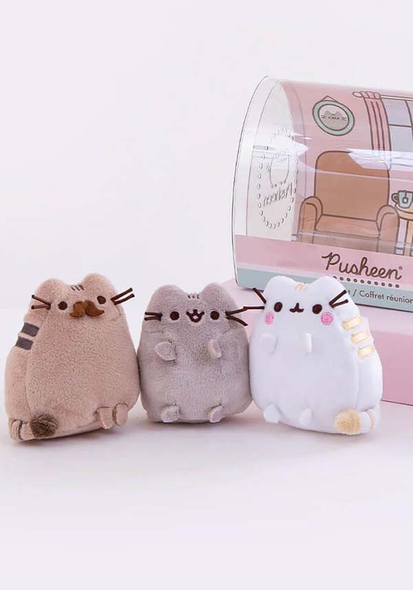 Pusheen Family Gathering | COLLECTOR SET