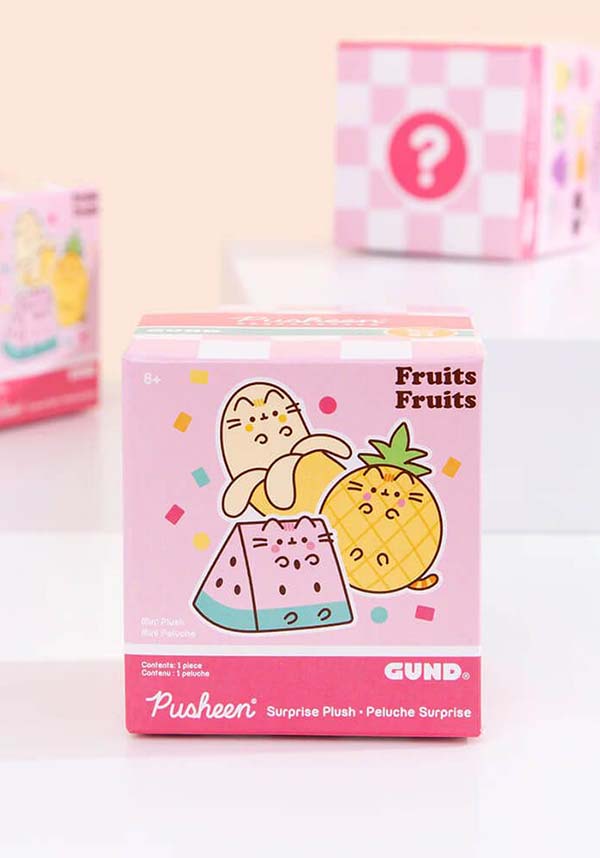 Pusheen Fruits Series 21 | BLIND BOX