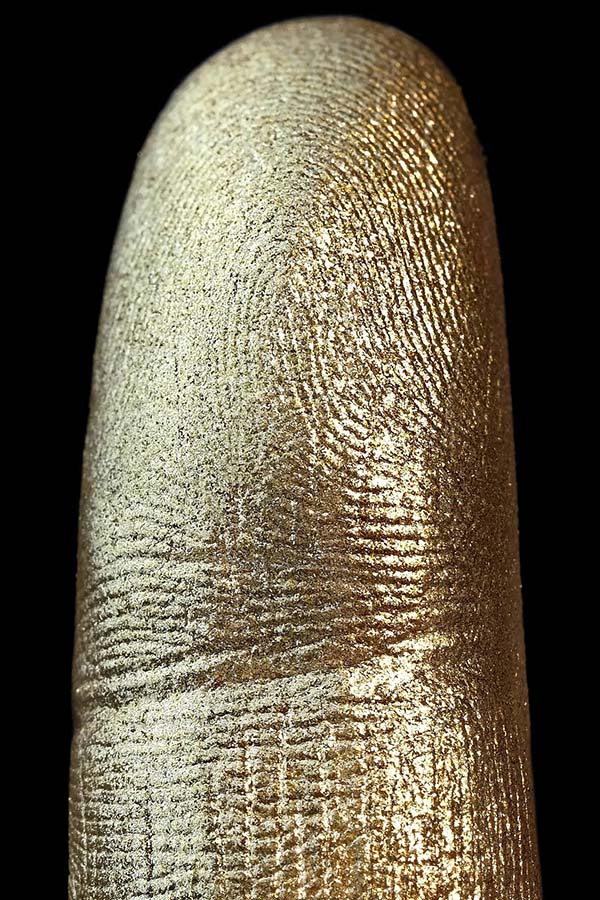 Silken Glow | EYESHADOW PIGMENT