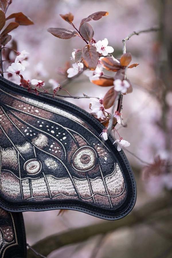 Ashira Moth | BACKPACK